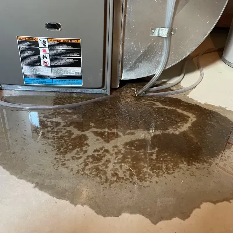 Appliance Leak Cleanup in Madison, GA